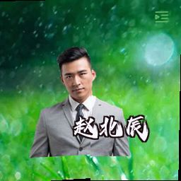 赵北辰